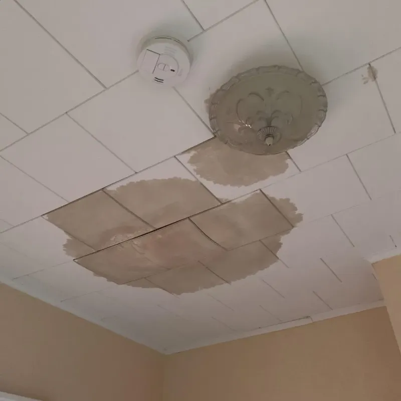 Ceiling Water Damage Repair in Rooks County, KS