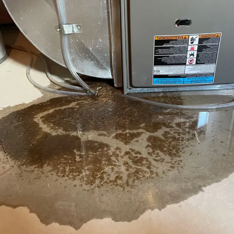 Pipe Burst and Leak Restoration in Rooks County, KS