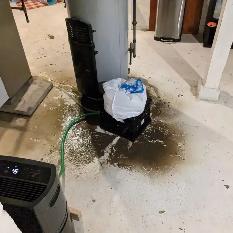 Sewage Backup Cleanup Service in Rooks County, KS